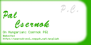 pal csernok business card